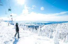 You Don’t Need a Mega Pass to Ski This Winter