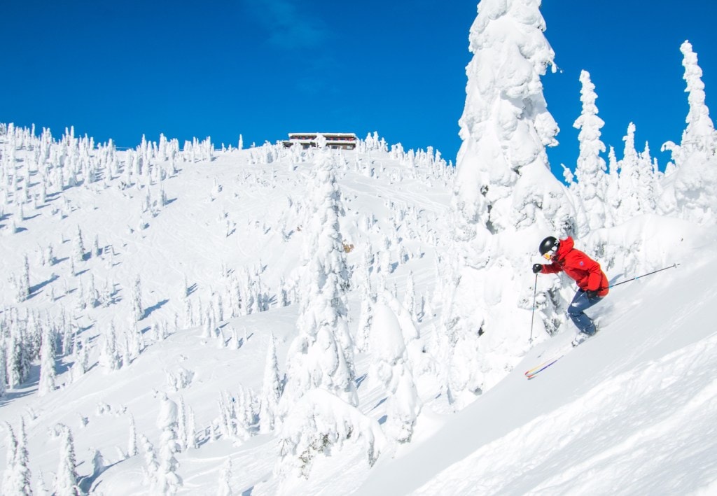 A skier slides down snow in front of snow-covered trees at Whitefish Mountain in Montana.