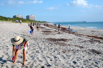 People cleaning up trash on a beach.