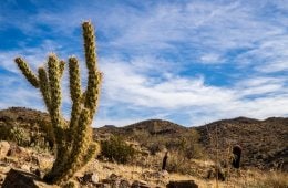 Best Hikes Near Palm Springs