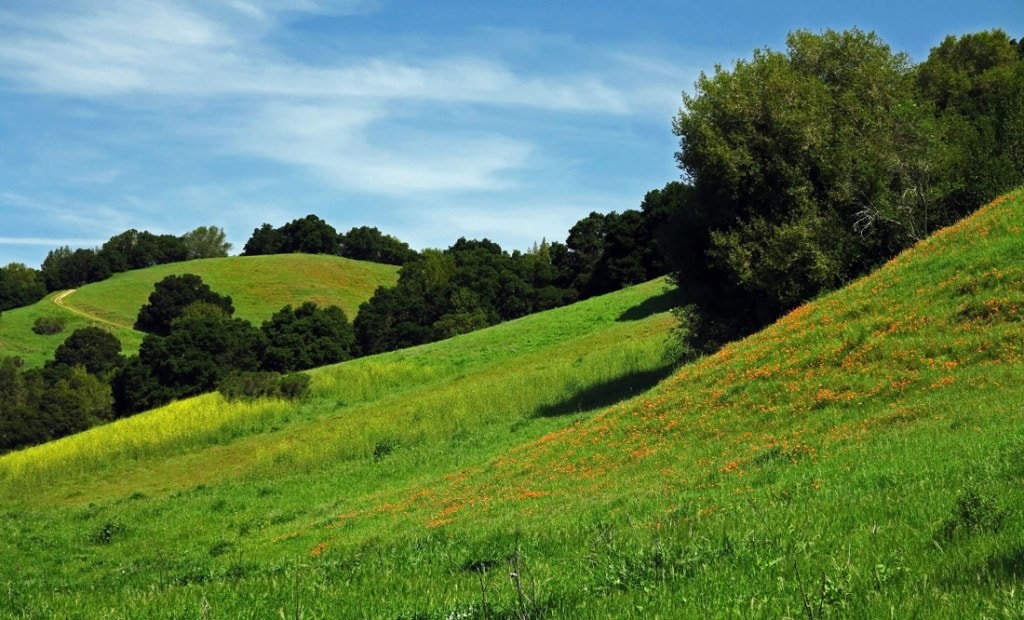 Northern California's green hills looking like a computer wallpaper. 