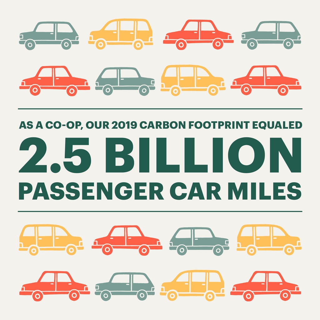 REI To Halve Carbon Footprint By 2030 - Uncommon Path – An REI Co-op ...