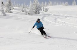 A person skis on powder