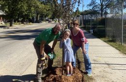 Building Green Space with Stacy Bare