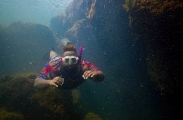 bj griffin freediving