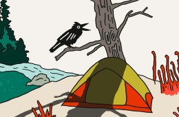 Illustration of a hiker sitting by a tent and a raven in a tree.