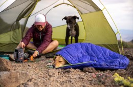 A dog is snuggled in their Ruffwear Highlands Sleeping Bag at camp near a tent, where a human and another dog sit close by.