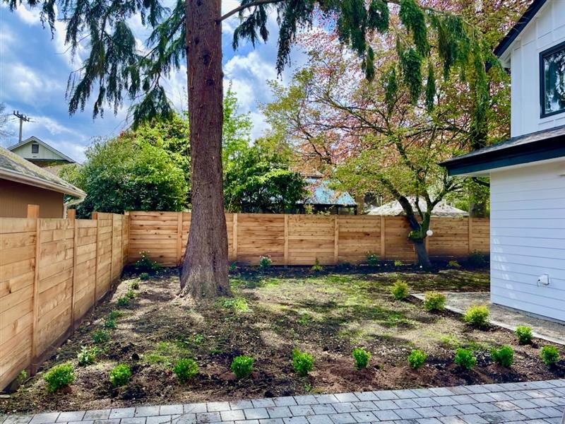 A large tree with a very straight trunk stands in the corner of a residential yard.