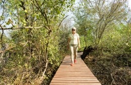 Establishing National Parks in Patagonia with Kristine Tompkins