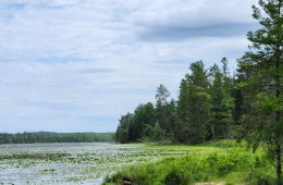 A calm lake with a tree-lined shore.