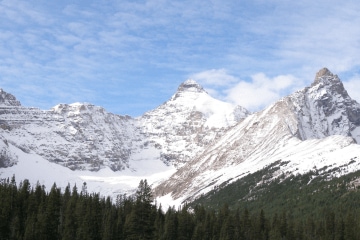 A landscape shot of Hilda Glacier in the Canadian Rockies