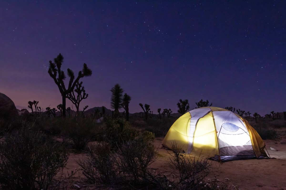 Photo of a Half Dome tent in Joshua Tree National Park at dusk