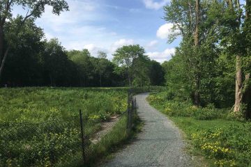 A paved trail runs between two areas of green space