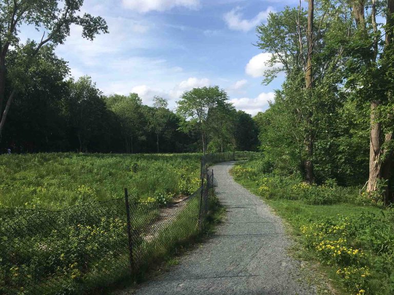 A paved trail runs between two areas of green space