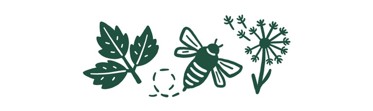 Icons representing common allergies: poison ivy, bee stings and pollen