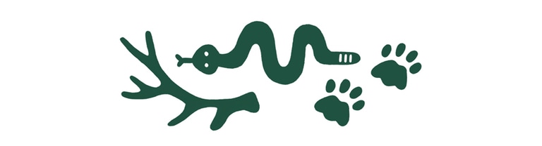 Icons illustrating animal attacks: antlers, bear tracks and a snake