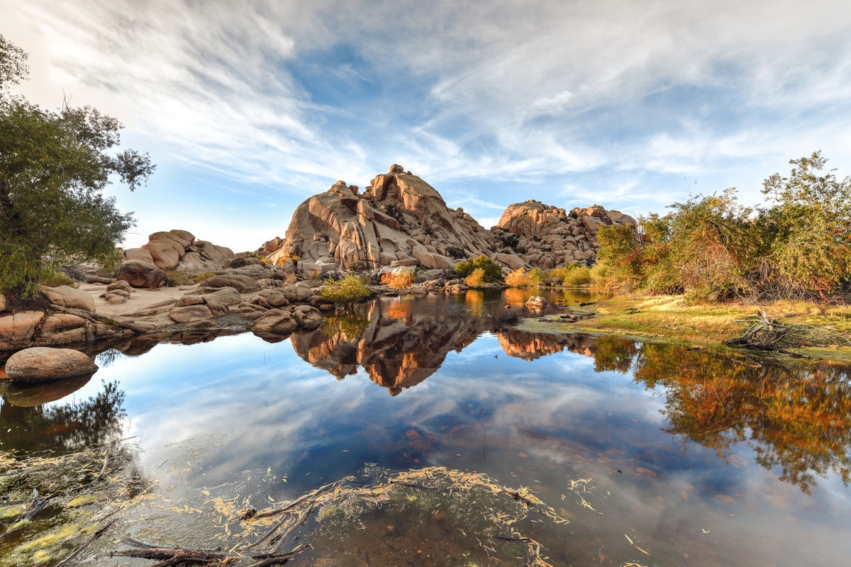 Originally constructed in 1900 by ranchers needing water for their cattle, Barker Dam now serves as a watering hole for Joshua Tree wildlife.