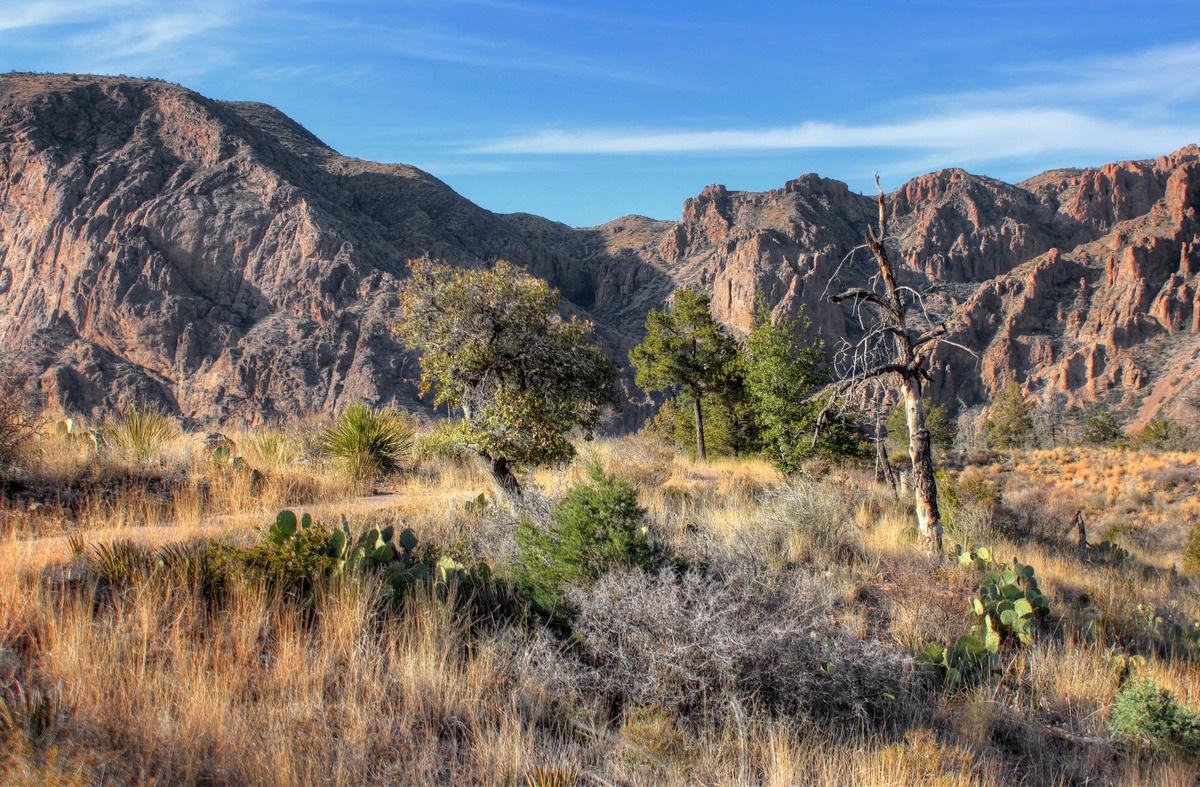 Big bend hiking tours best sale