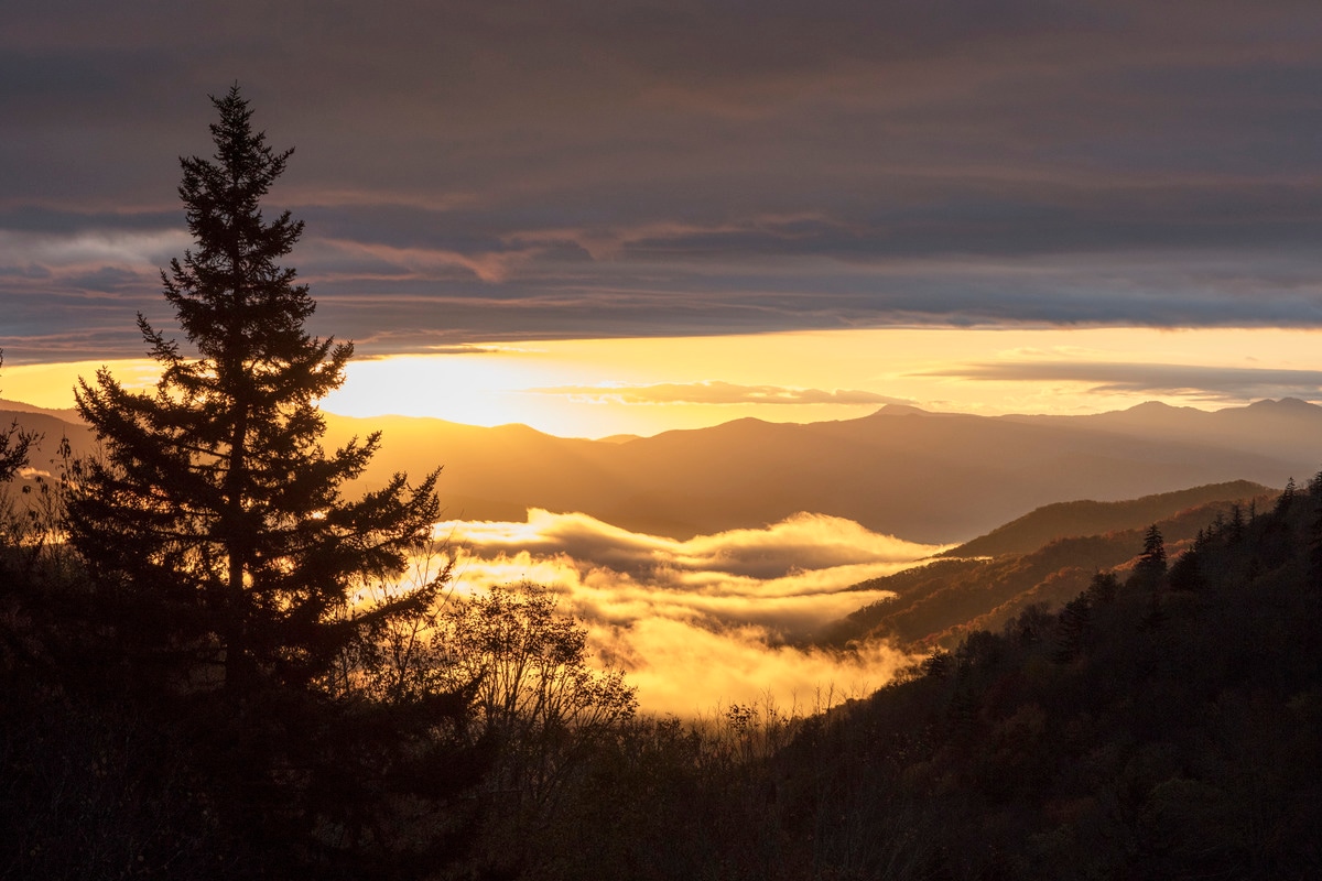 Our four-day journey through the Blue Ridge Mountains offers expansive views of Appalachian peaks.