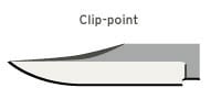 Clip-point blade