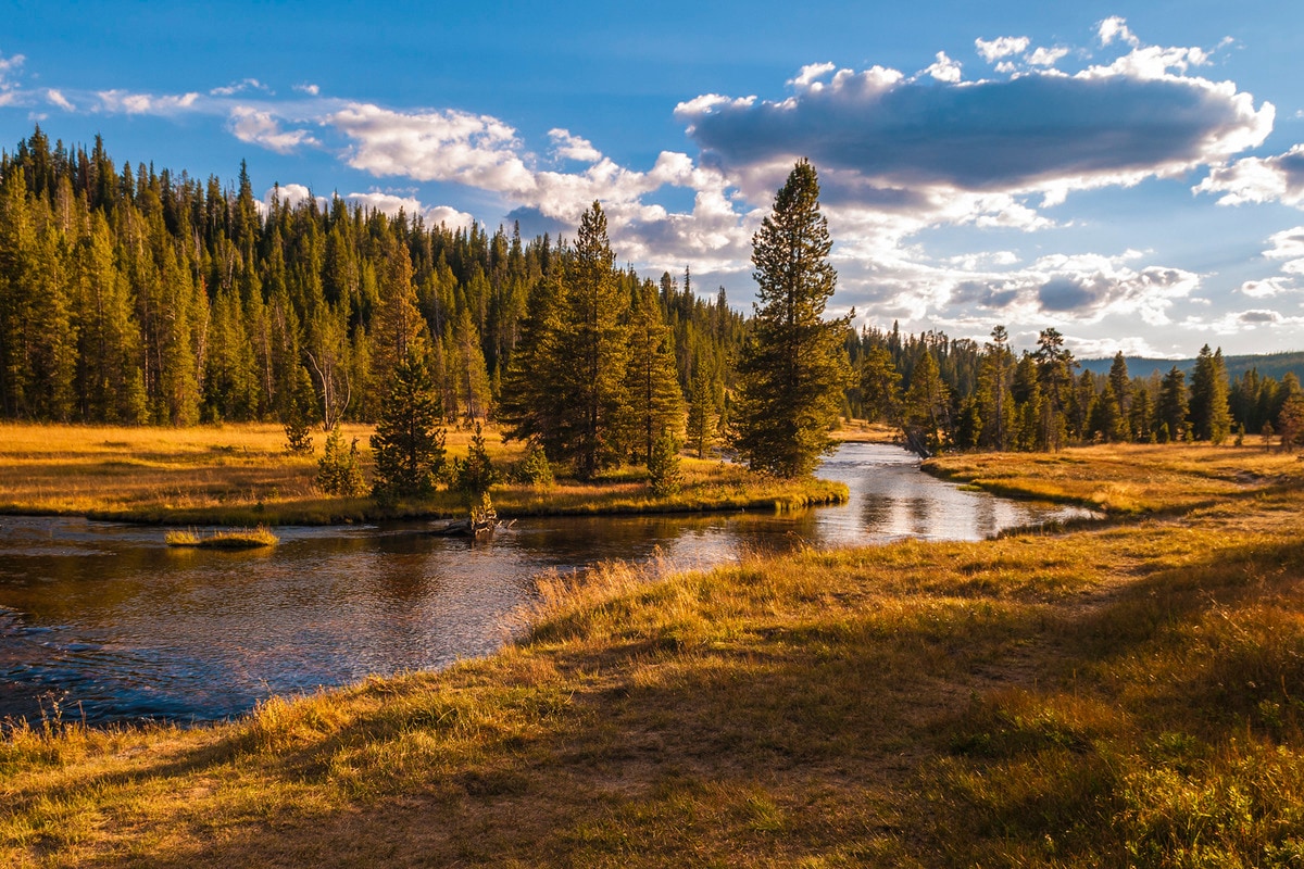 Yellowstone Backpacking Bechler River