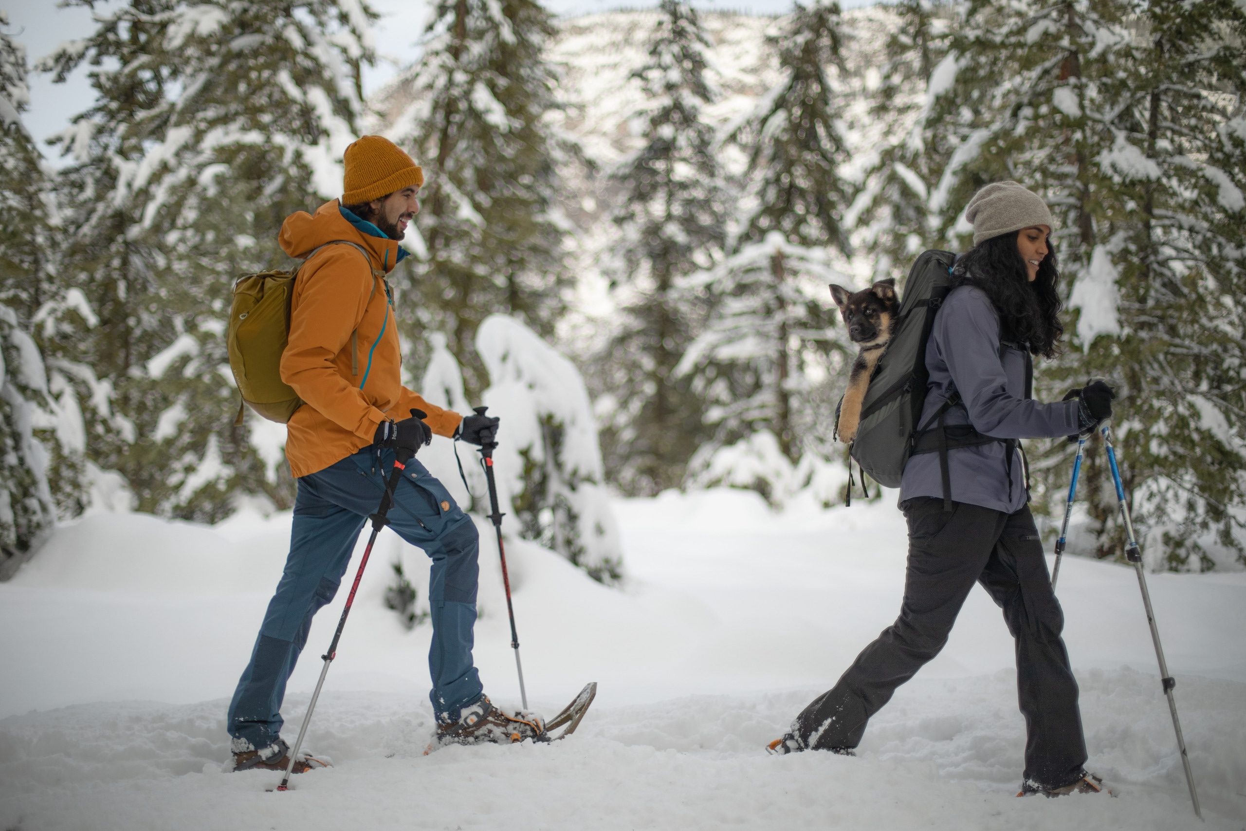 Two people snowshoeing in a winter landscape, using trekking poles. One person has a puppy in a backpack.