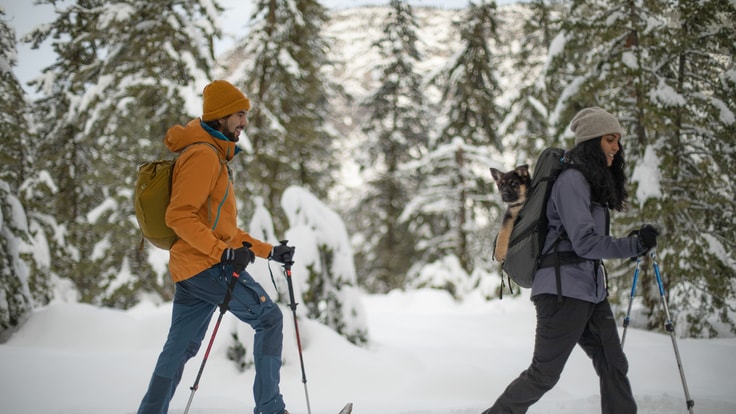 Two people snowshoeing in a winter landscape, using trekking poles. One person has a puppy in a backpack.