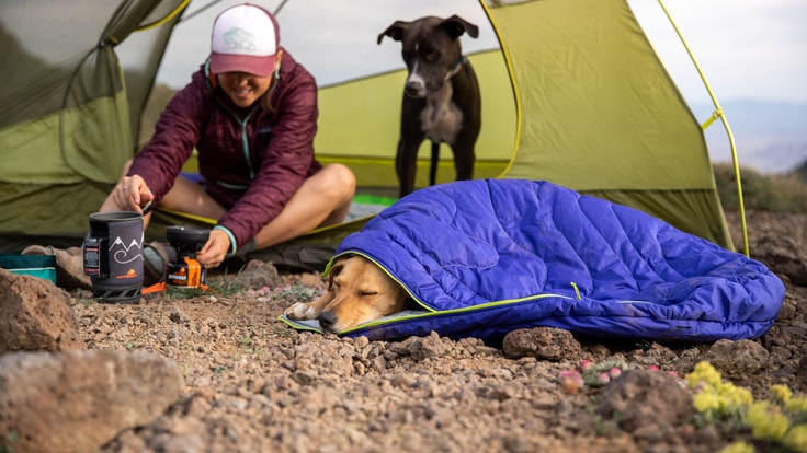 A dog snuggles in for a nap in a sleeping bag at camp in front of a tent, where a human and another dog watch food cook.