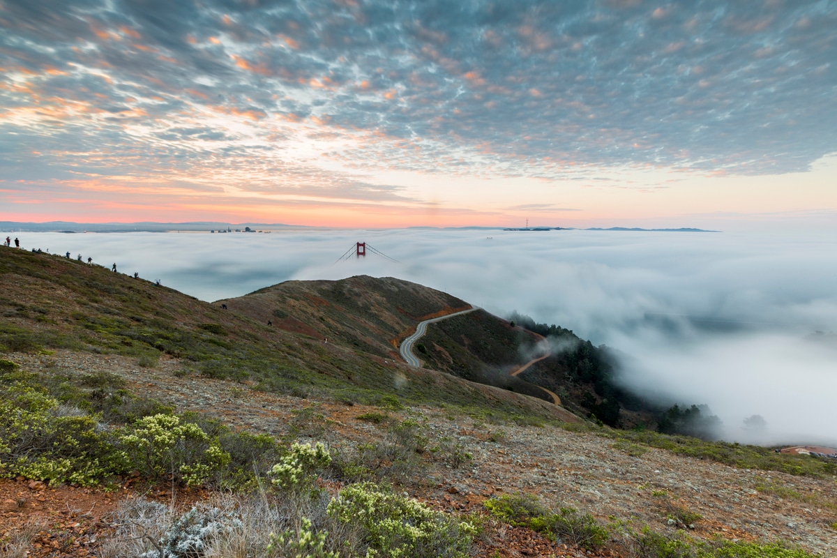 A Golden Bridge arising from the sea of fog at dawn, a serene moment above the clouds on one of the winding trails in the Marin headlands.