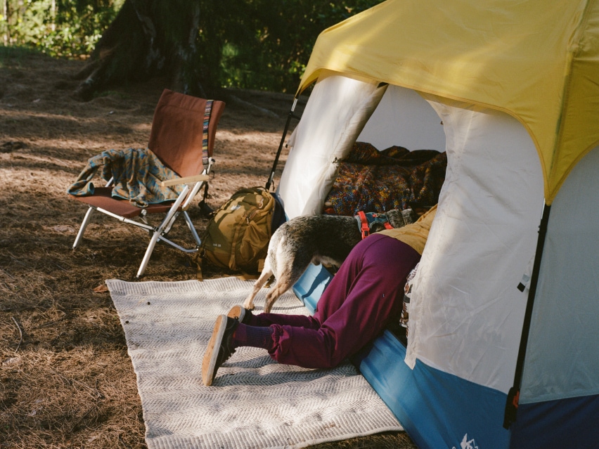 A camper and a dog in a tent.