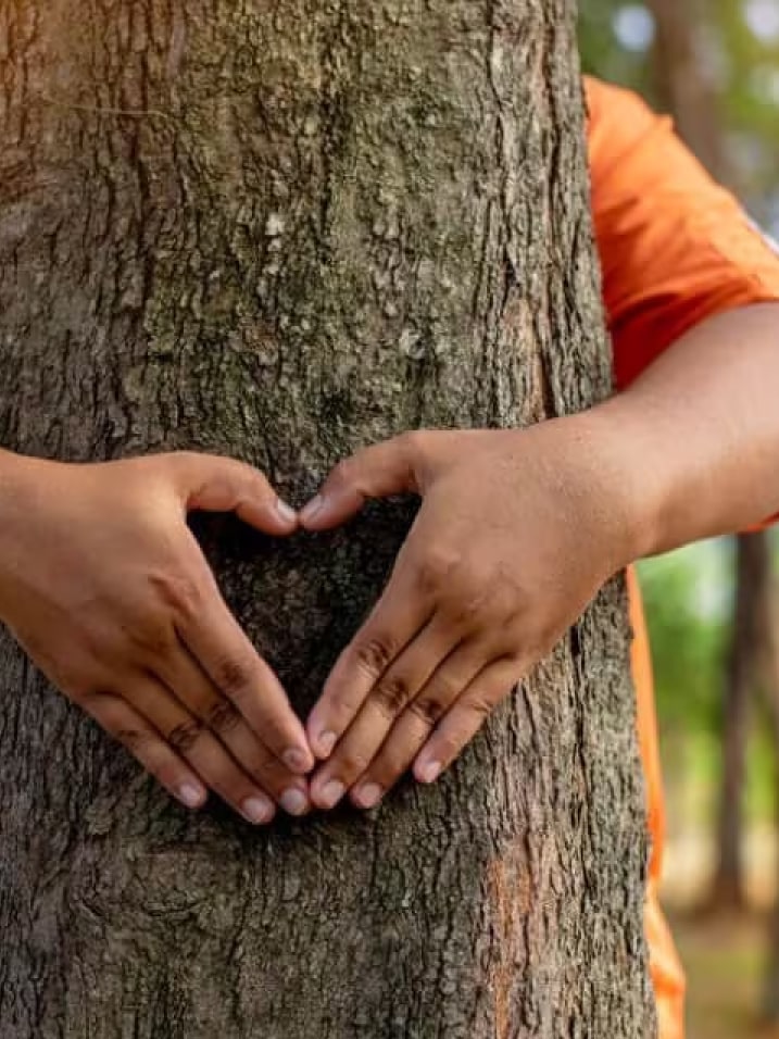 Hands forming a heart shape on a tree trunk.