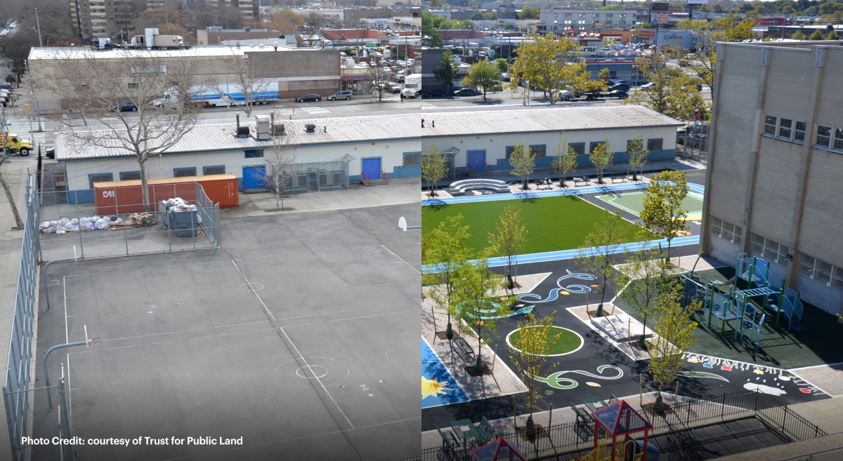 Before and after of a concrete schoolyard turned into a green space