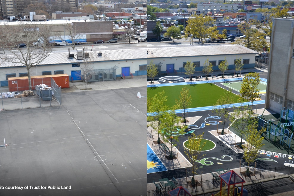 Before and after of a concrete schoolyard turned into a green space