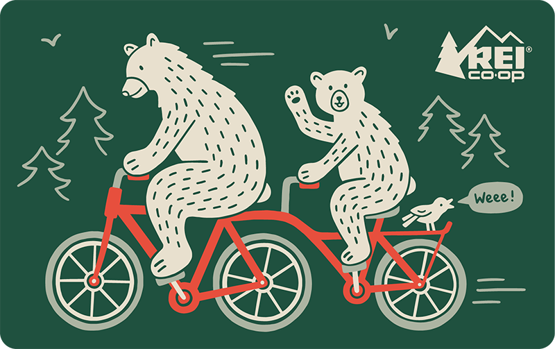 2024 Activity Bike Bears