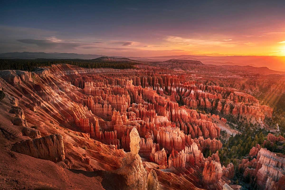 Inspiration Point just might be the best view in the park.