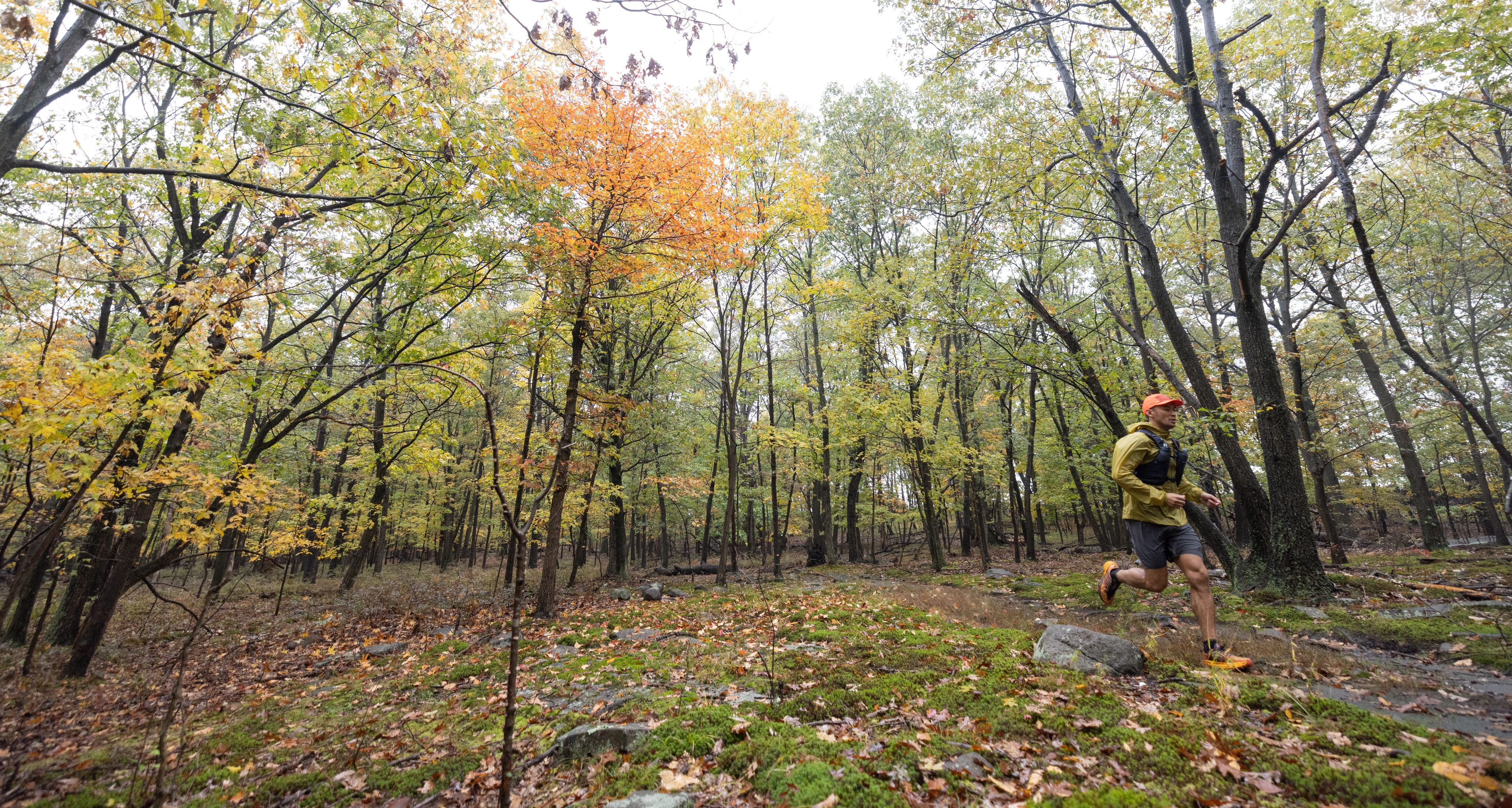 person running through woods on trail under colorful trees