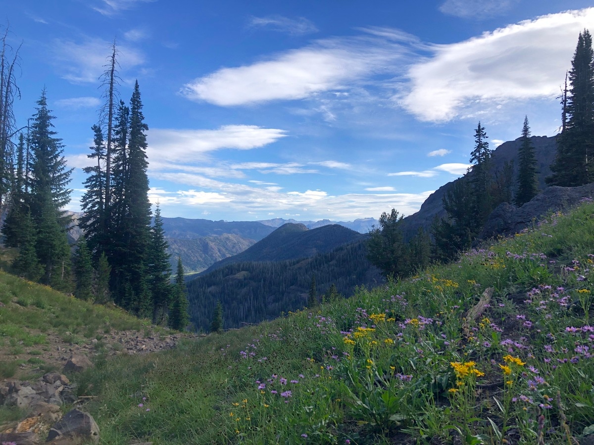 Our layover day will take us to Eagle Pass to admire distant and spectacular summits and sun dappled valleys.