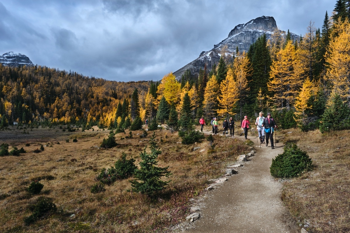 Larch provide a gorgeous contrast to gray skies and towering peaks in September.