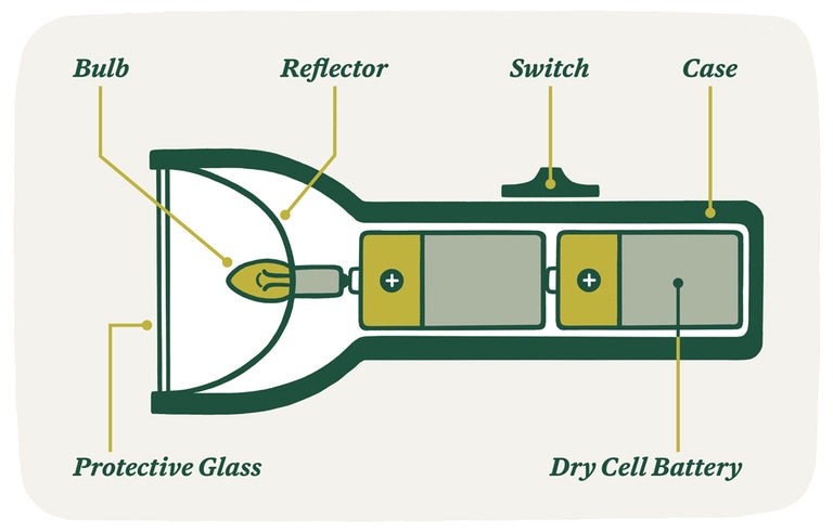 An illustration of a cut-away flashlight, indicating the different component parts.