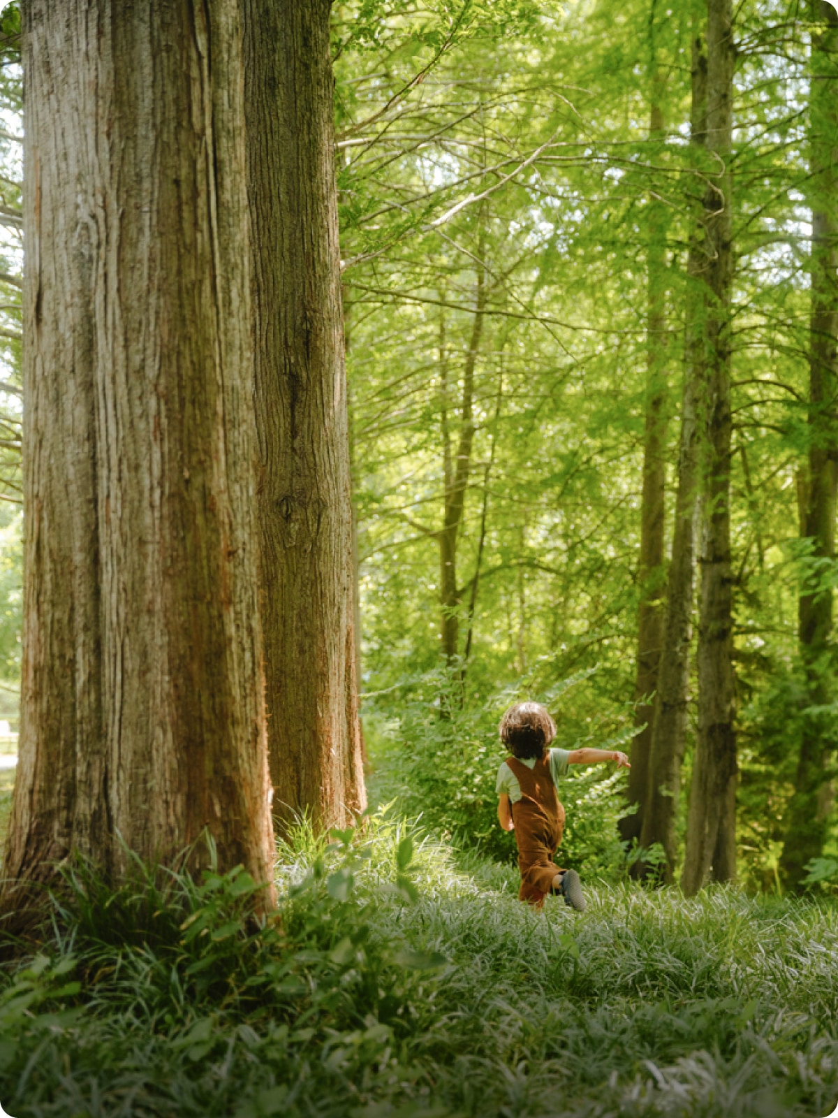 A toddler running next to a big tree.