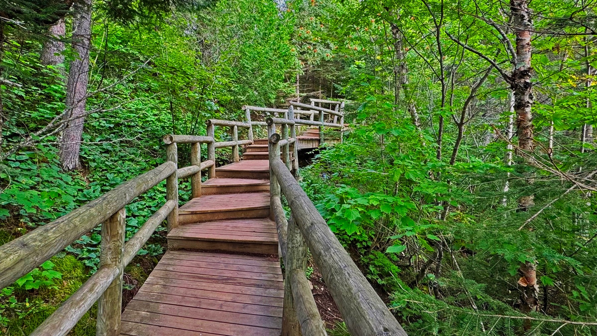 One of the many well maintained boardwalks along the Gooseberry Falls trail…Stairway to heaven?