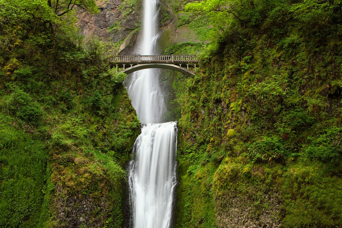  Multnomah Falls plunges 620 feet down majestic basalt cliffs, showcasing the awe-inspiring beauty of the Pacific Northwest.