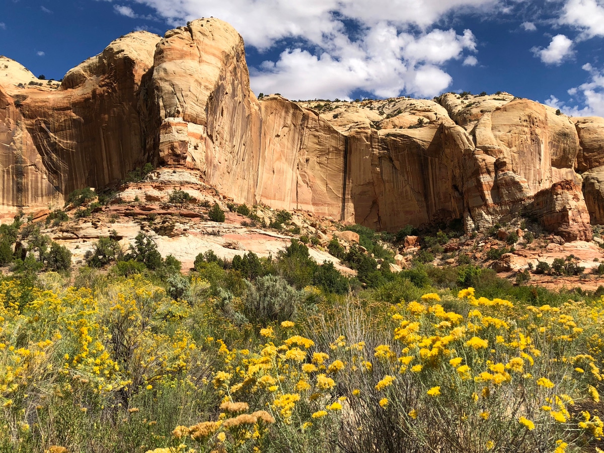 One of the countless inspiring views from our trek through Grand Staircase-Escalante National Monument.