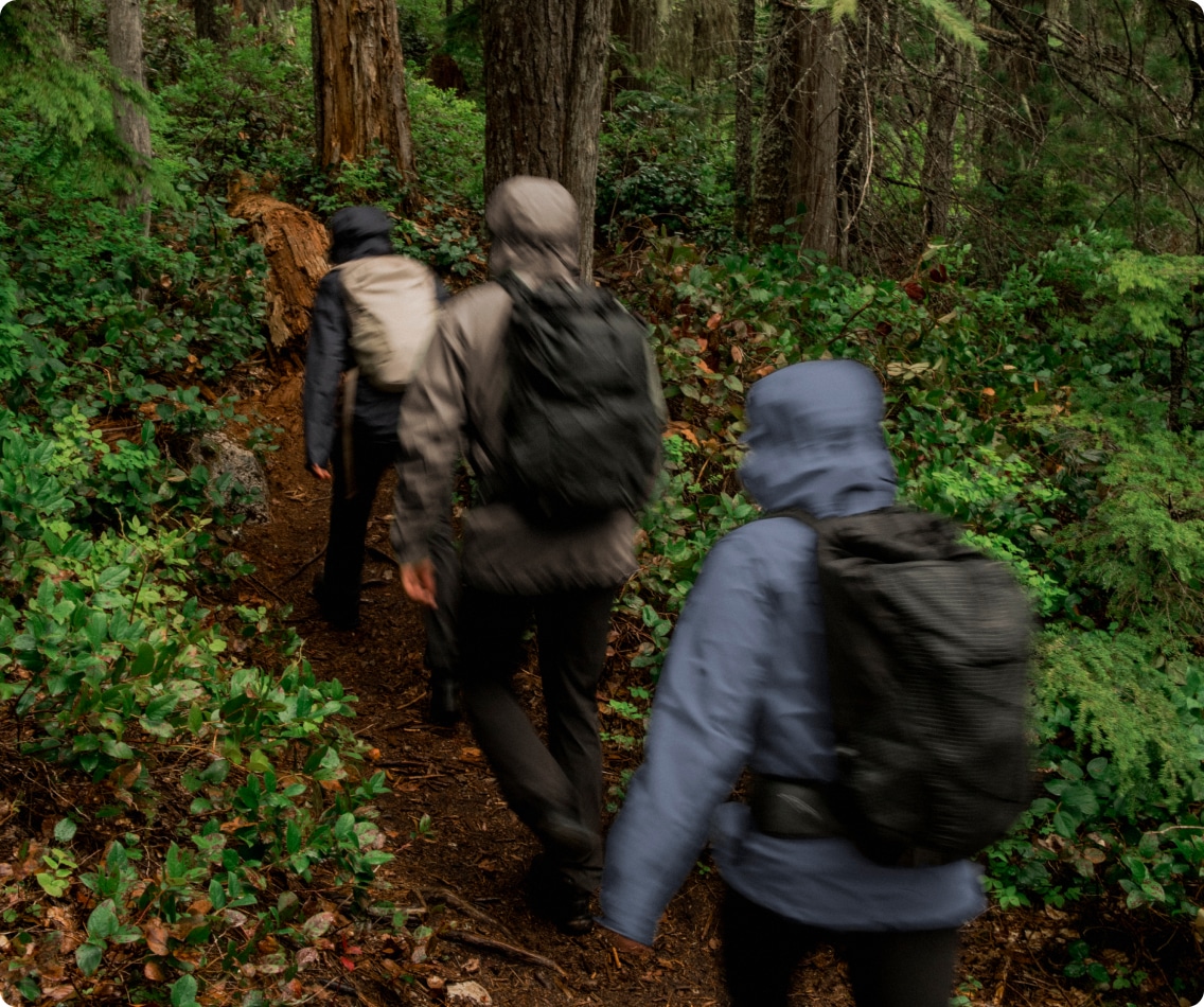 A group of hikers on a forest trail.