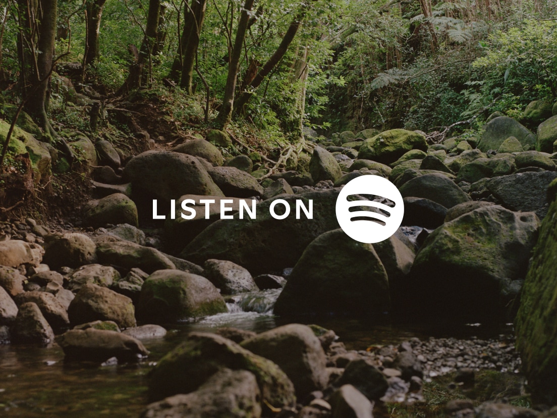 A lush, green forest scene with a rocky stream. Text reads, Listen on Spotify.