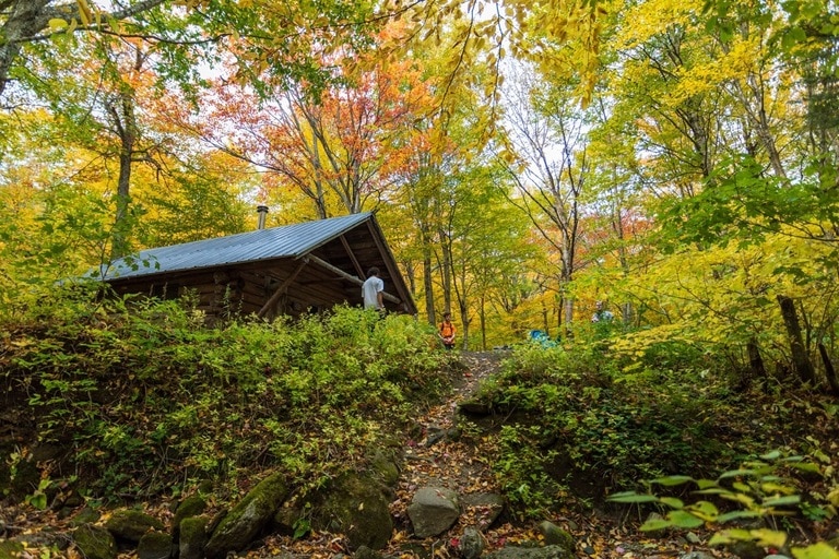 A shelter in the woods, surrounded by fall colors.