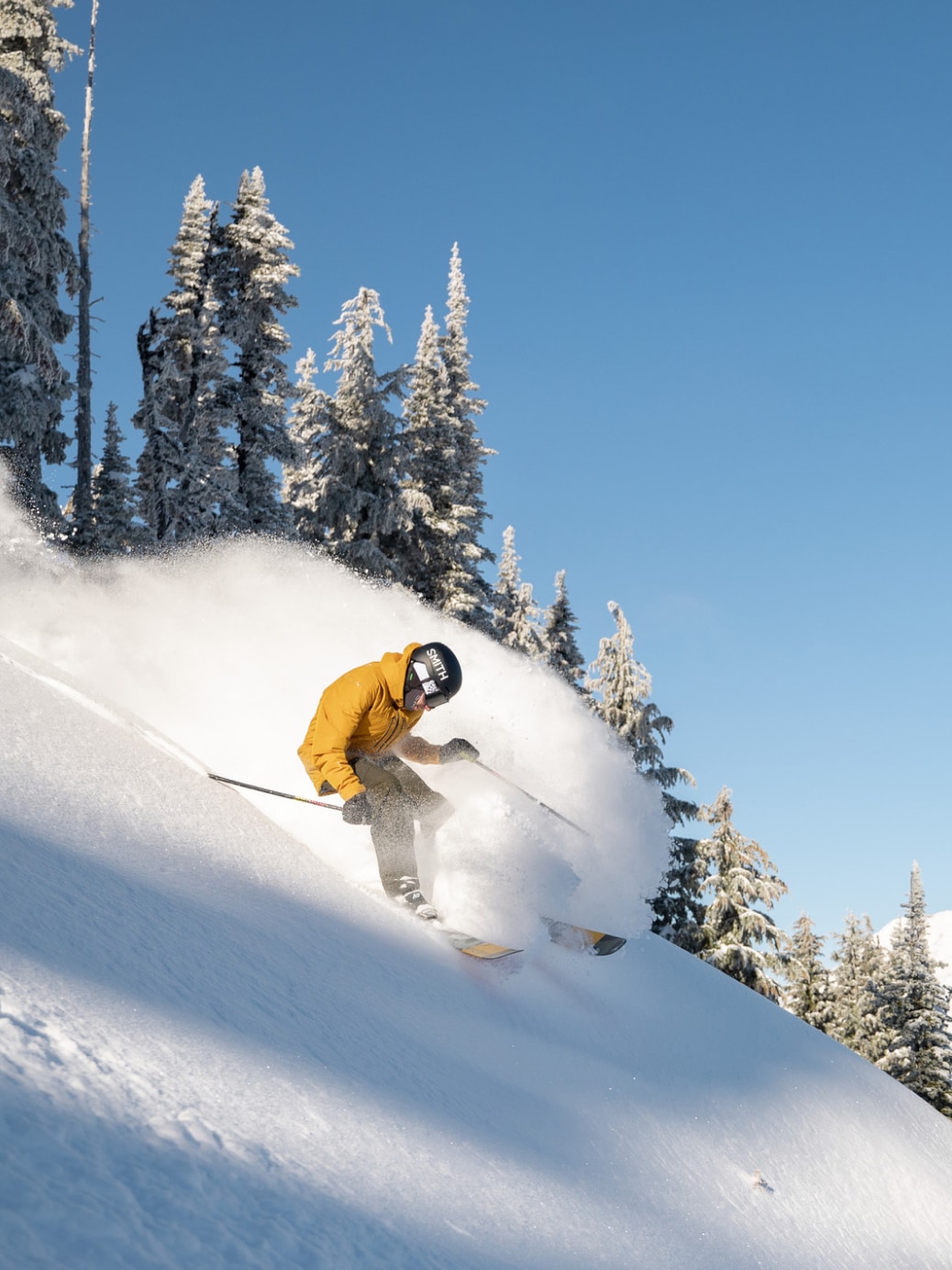 A skier carves fresh powder on a bluebird day.