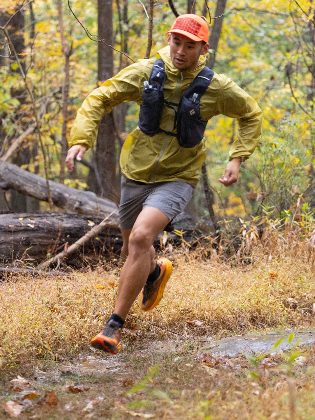 A trail runner on a forest path with fall colors.