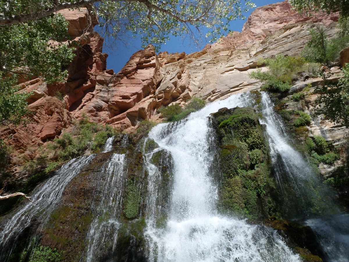 A lush oasis provides a welcome surprise along our backpacking route.