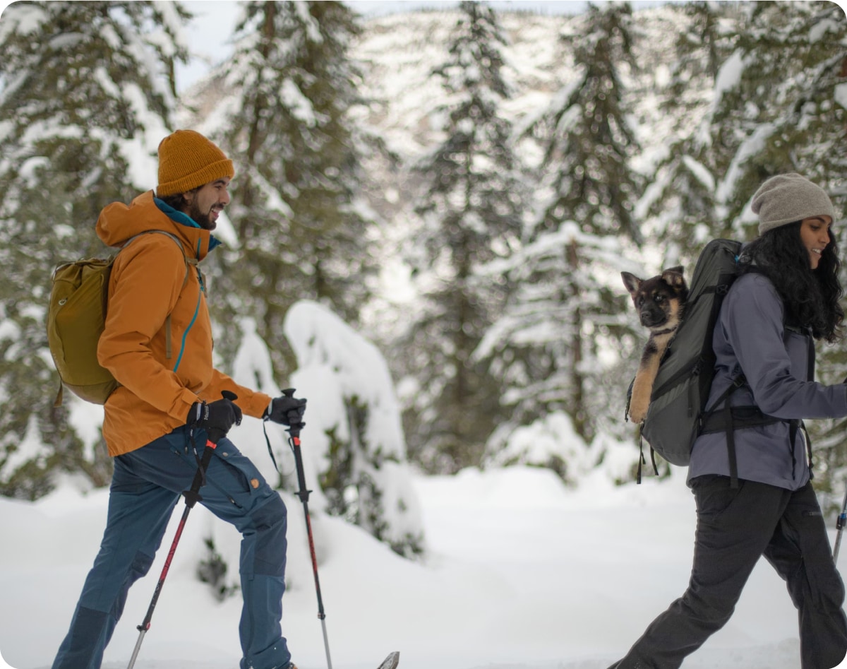 Two people snowshoeing with a very good pup.